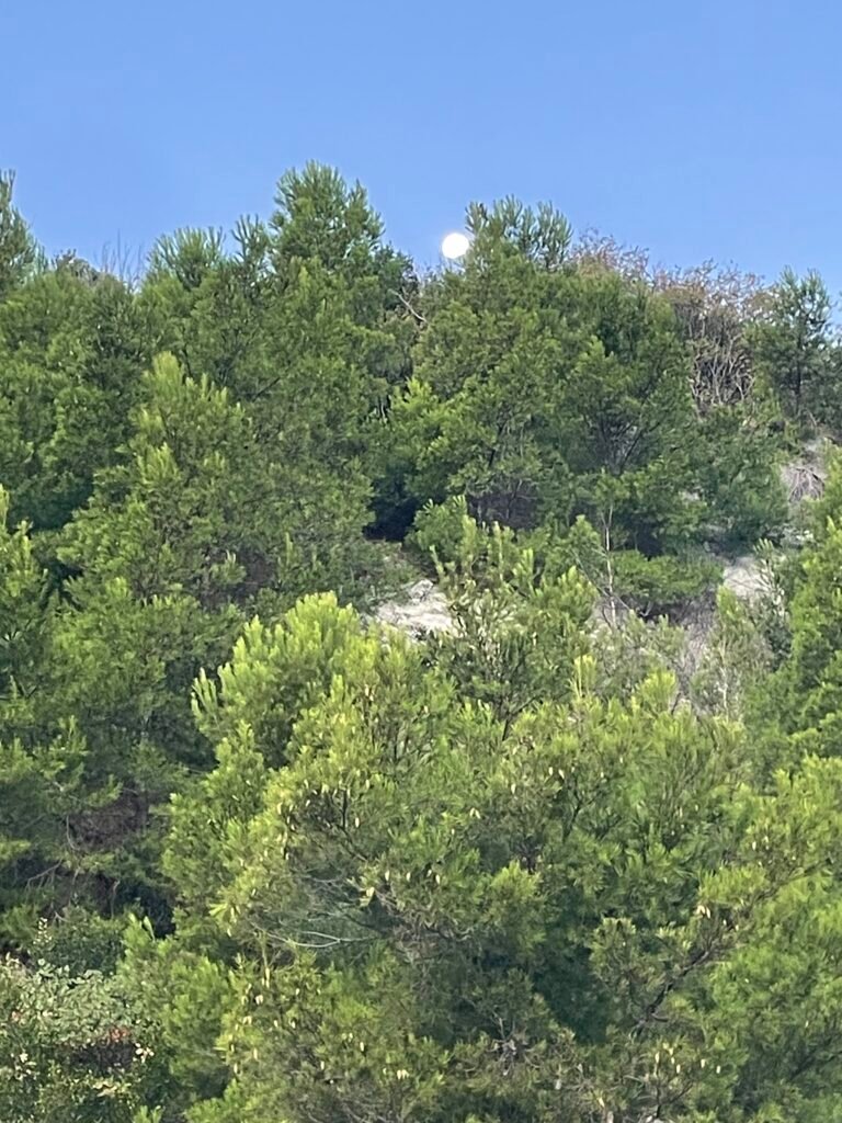 Per te che vivi lontano da casa img 5643 passetto luna