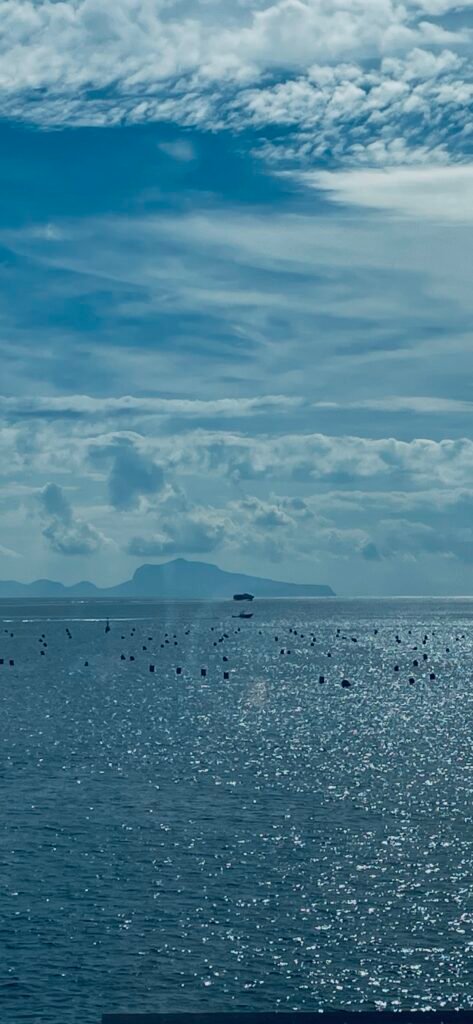 Nutrizione Enterale Domiciliare al SINUC screenshot