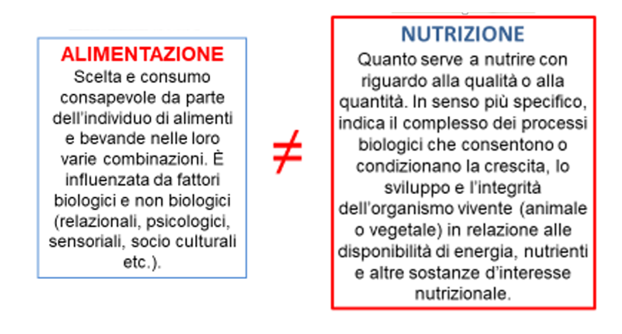 alimentazione alimentazione
