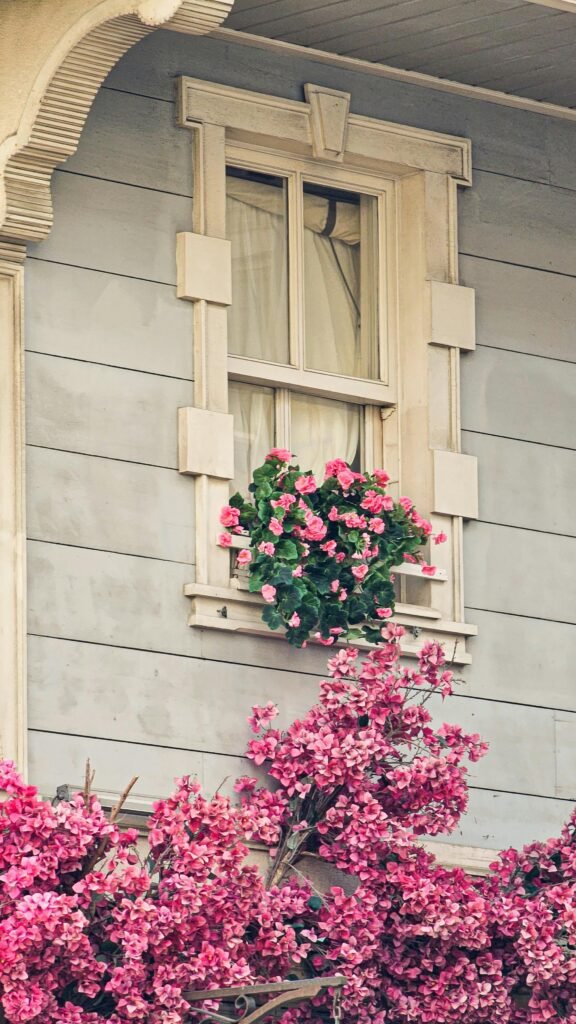 pexels fatima acunman 759286837 34136143