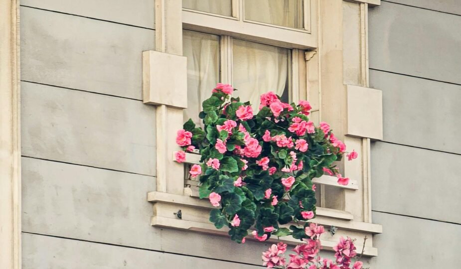 pexels fatima acunman 759286837 34136143