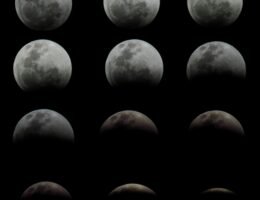 pexels leiliane dutra 1841922 12921076 le fasi