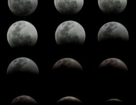 pexels leiliane dutra 1841922 12921076 le fasi