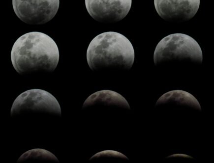 pexels leiliane dutra 1841922 12921076 le fasi