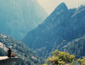 pexels noellegracephotos 906097