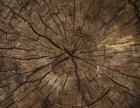 volodymyr hryshchenko 6ytoaq pyhy unsplash post invecchiamento primo post