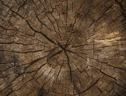 volodymyr hryshchenko 6ytoaq pyhy unsplash post invecchiamento primo post