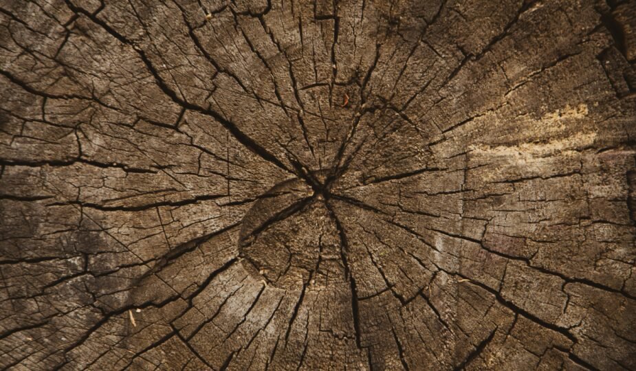 volodymyr hryshchenko 6ytoaq pyhy unsplash post invecchiamento primo post