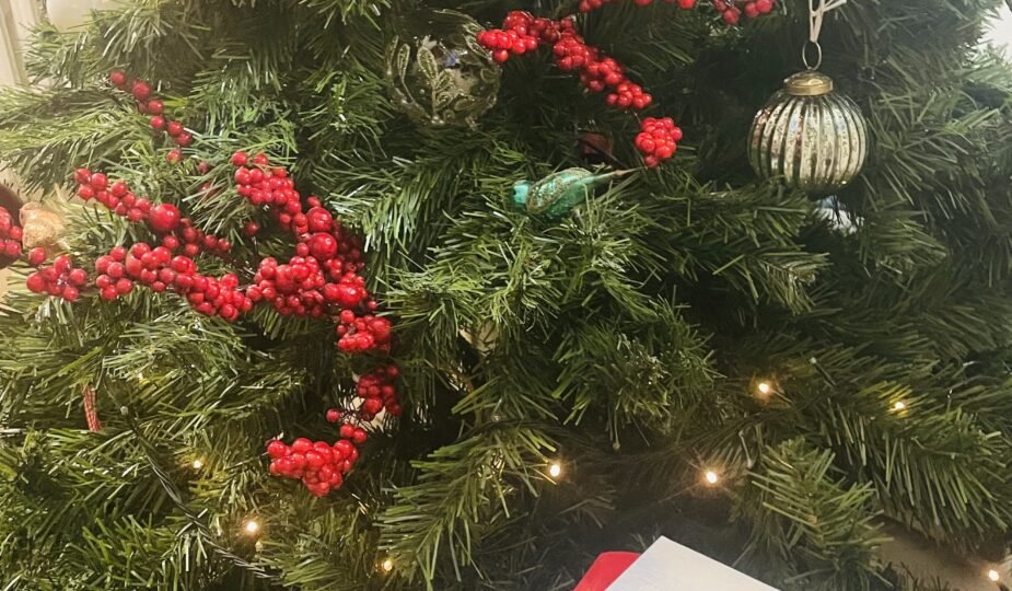 Tradizioni dell’Adriatico per la cena della Vigilia di Natale img 8045