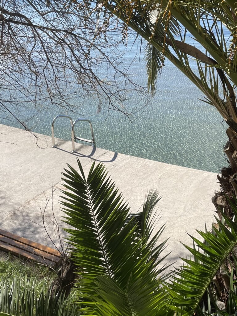 La luce che cura: perché uscire fa bene a caregiver e assistito primavera 7